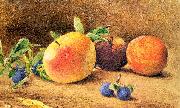 Hill, John William Study of Fruit Norge oil painting reproduction